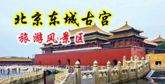 暴操白虎骚穴中国北京-东城古宫旅游风景区